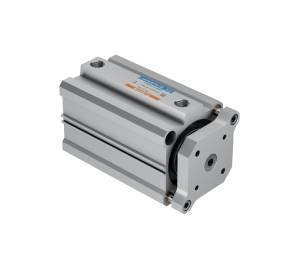 Cylinder with Guide Rod