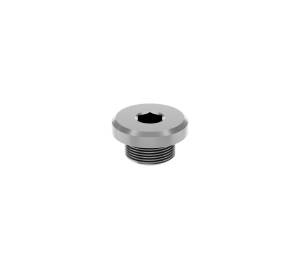 Port Plug