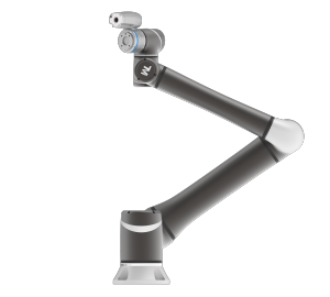TM12